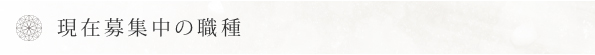現在募集中の職種